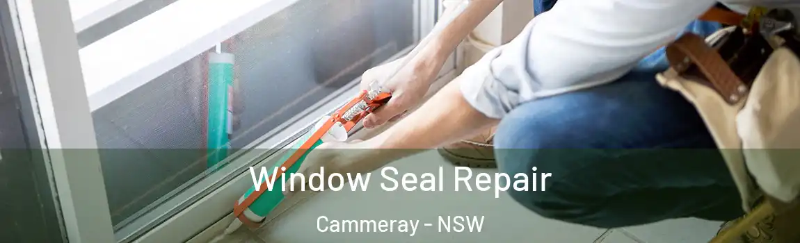  Window Seal Repair Cammeray - NSW