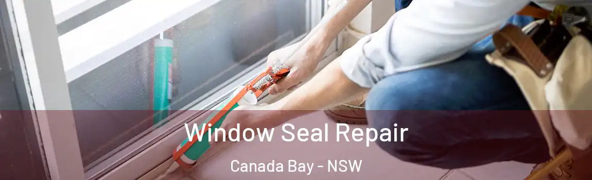  Window Seal Repair Canada Bay - NSW