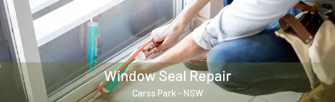  Window Seal Repair Carss Park - NSW