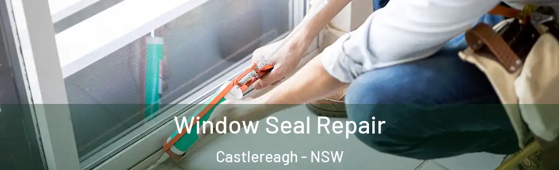  Window Seal Repair Castlereagh - NSW