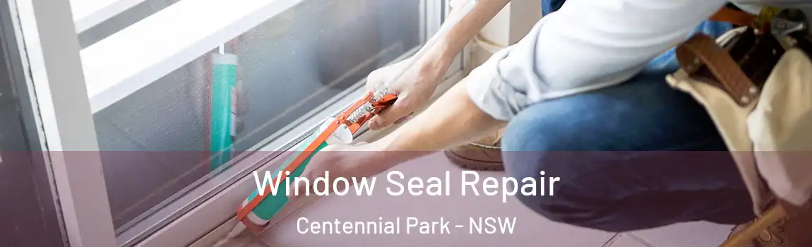  Window Seal Repair Centennial Park - NSW