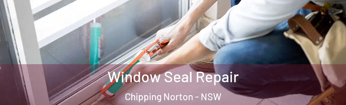  Window Seal Repair Chipping Norton - NSW