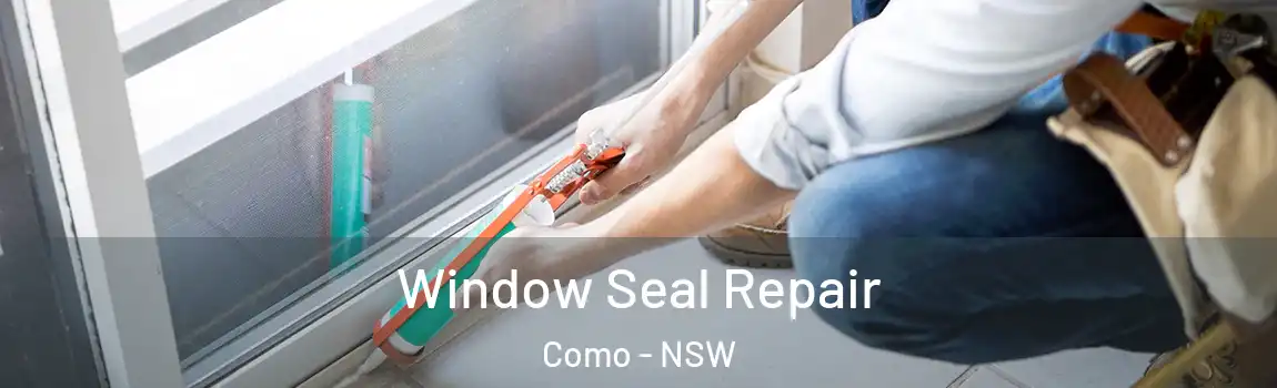  Window Seal Repair Como - NSW