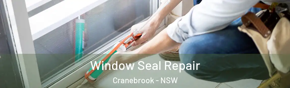  Window Seal Repair Cranebrook - NSW