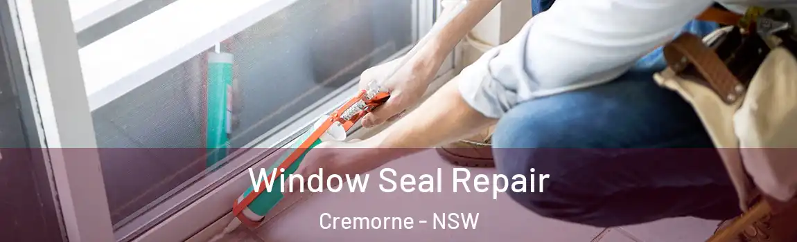  Window Seal Repair Cremorne - NSW