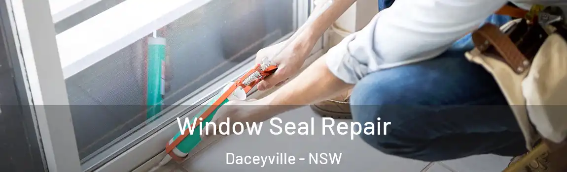  Window Seal Repair Daceyville - NSW