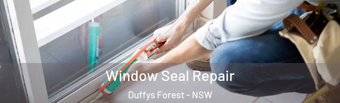  Window Seal Repair Duffys Forest - NSW