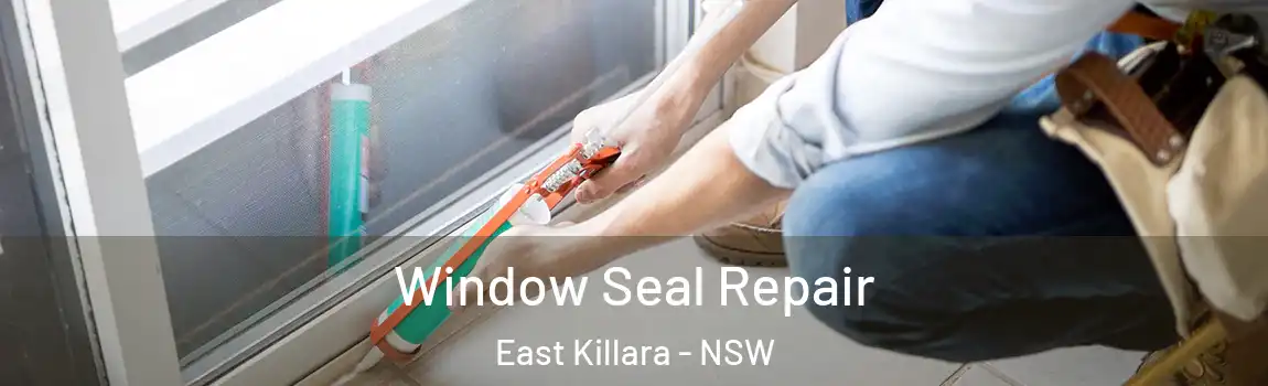  Window Seal Repair East Killara - NSW