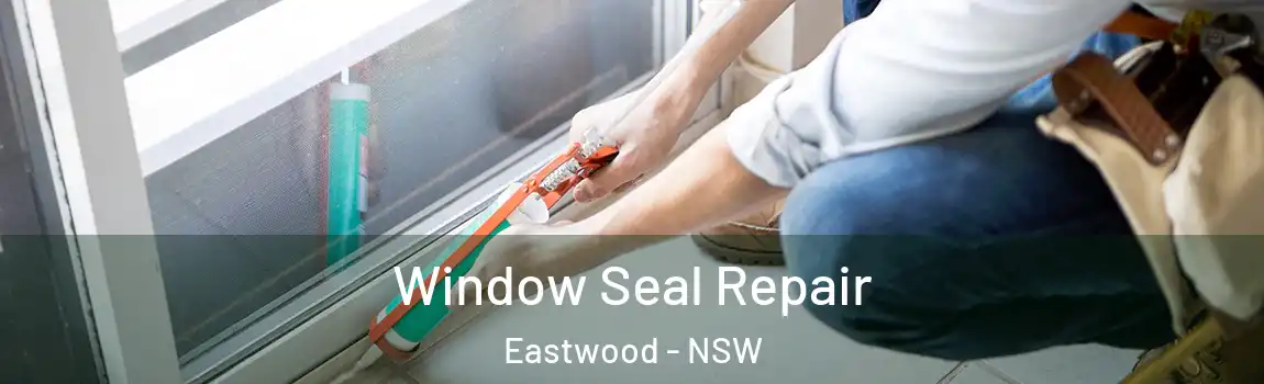  Window Seal Repair Eastwood - NSW