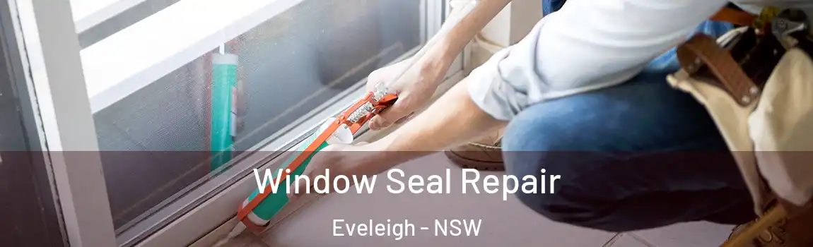  Window Seal Repair Eveleigh - NSW