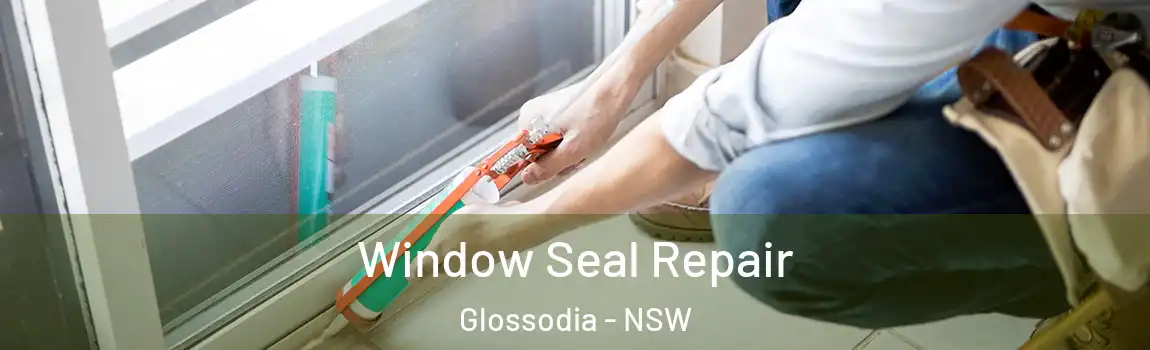  Window Seal Repair Glossodia - NSW