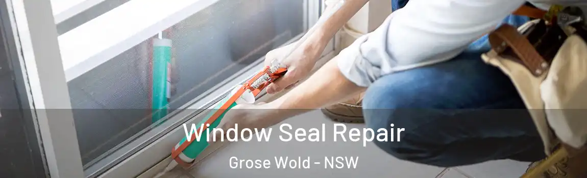  Window Seal Repair Grose Wold - NSW