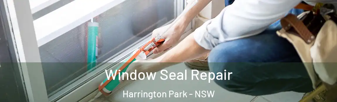  Window Seal Repair Harrington Park - NSW