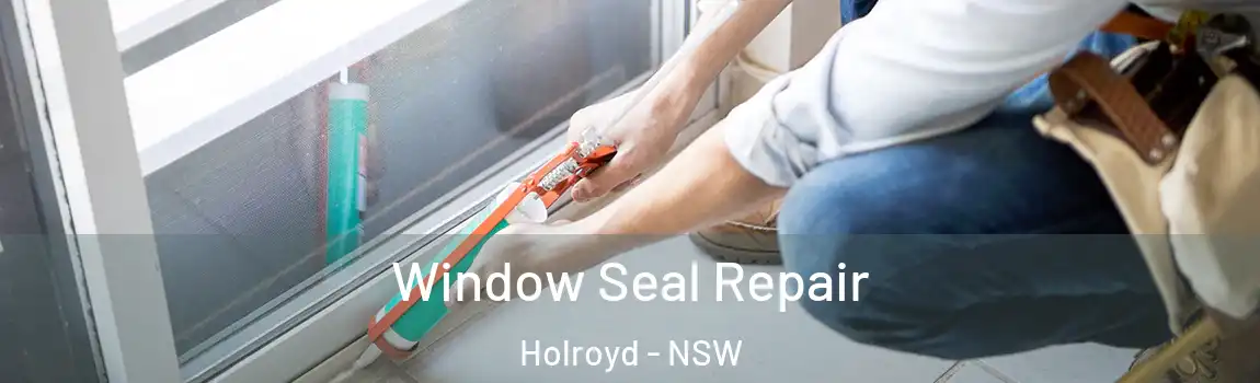  Window Seal Repair Holroyd - NSW