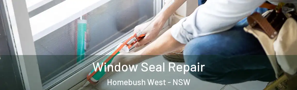 Window Seal Repair Homebush West - NSW