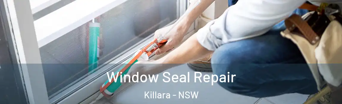  Window Seal Repair Killara - NSW