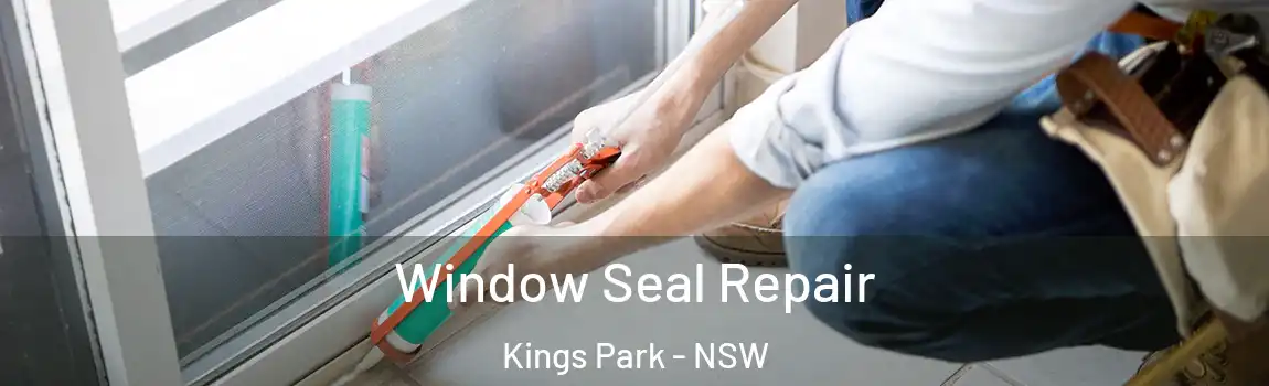  Window Seal Repair Kings Park - NSW