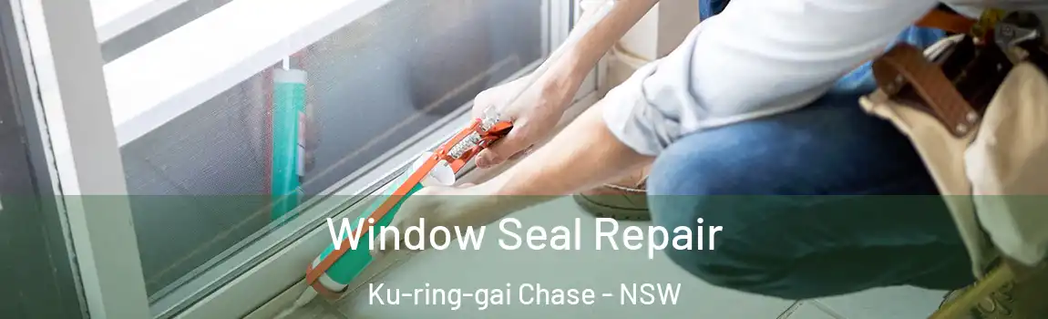  Window Seal Repair Ku-ring-gai Chase - NSW