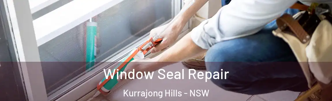  Window Seal Repair Kurrajong Hills - NSW