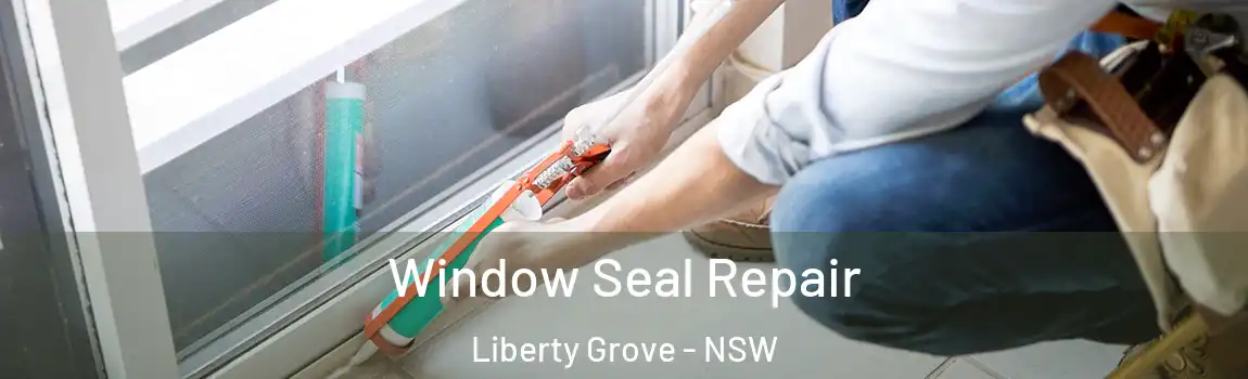  Window Seal Repair Liberty Grove - NSW