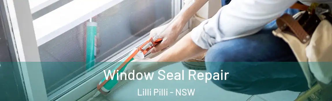  Window Seal Repair Lilli Pilli - NSW