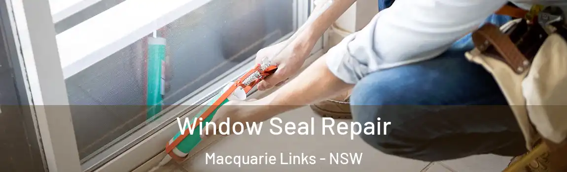  Window Seal Repair Macquarie Links - NSW