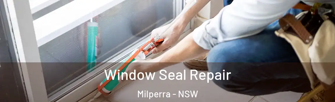  Window Seal Repair Milperra - NSW
