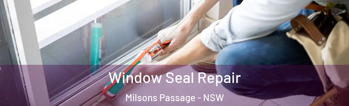  Window Seal Repair Milsons Passage - NSW