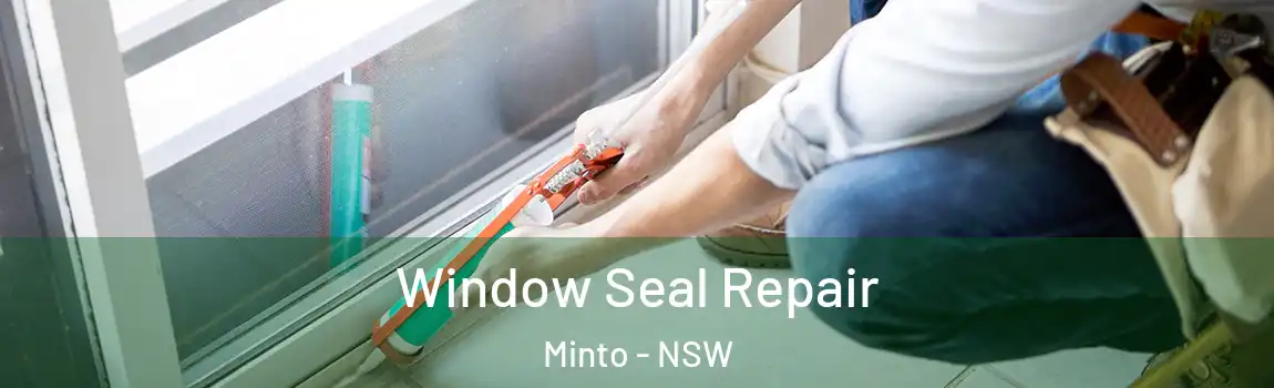  Window Seal Repair Minto - NSW
