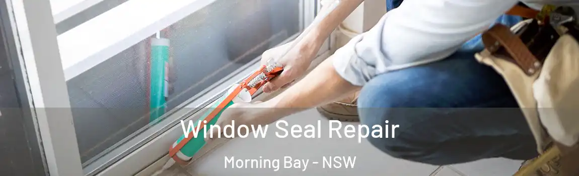  Window Seal Repair Morning Bay - NSW
