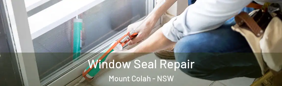  Window Seal Repair Mount Colah - NSW