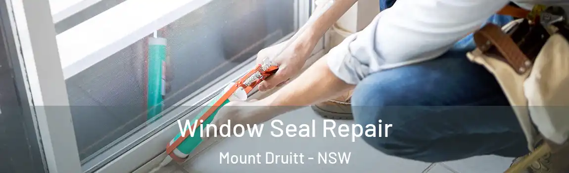  Window Seal Repair Mount Druitt - NSW