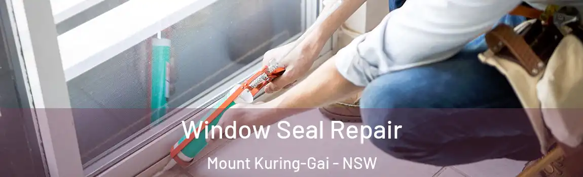  Window Seal Repair Mount Kuring-Gai - NSW