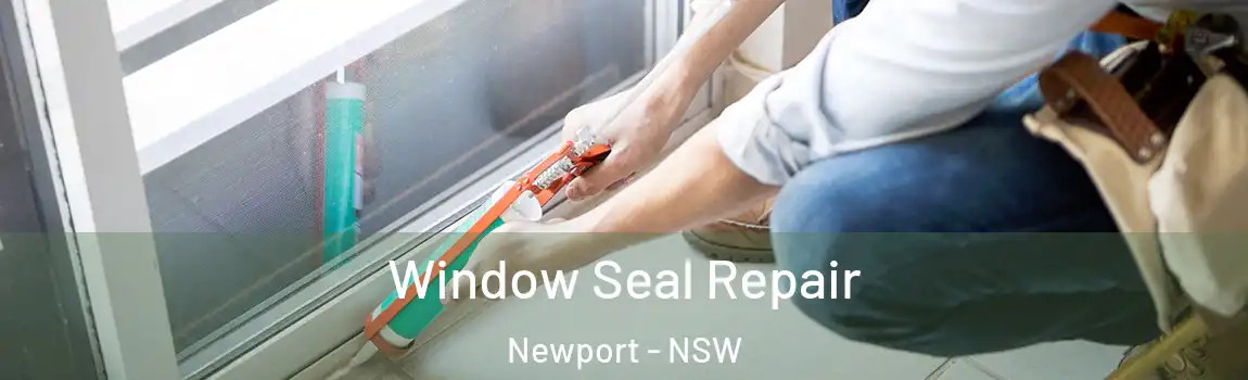  Window Seal Repair Newport - NSW