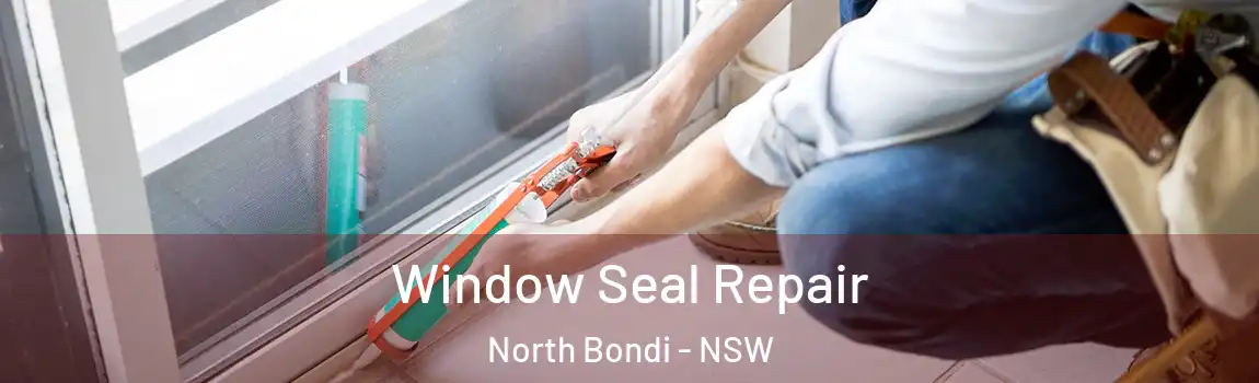  Window Seal Repair North Bondi - NSW