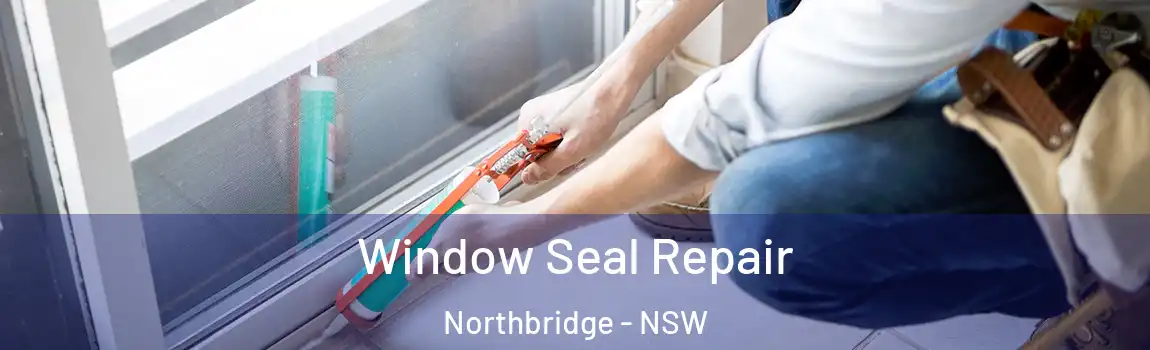  Window Seal Repair Northbridge - NSW