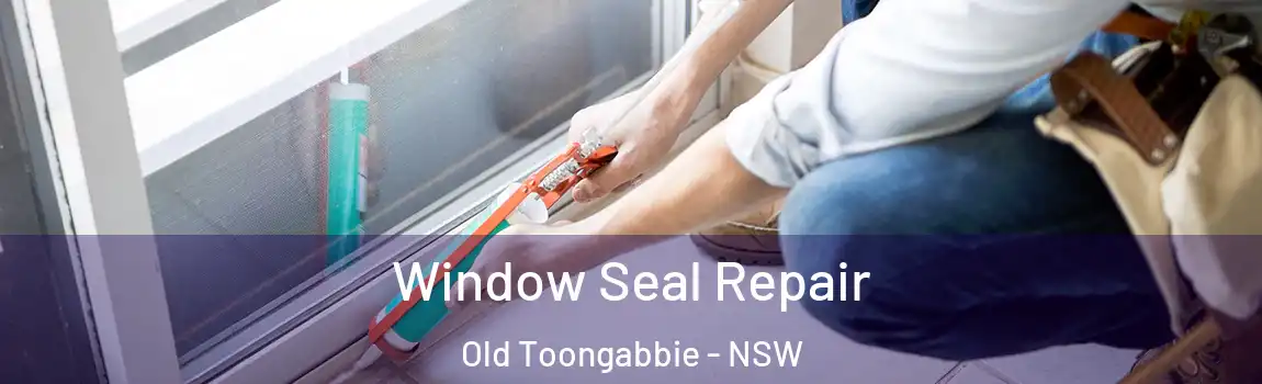  Window Seal Repair Old Toongabbie - NSW