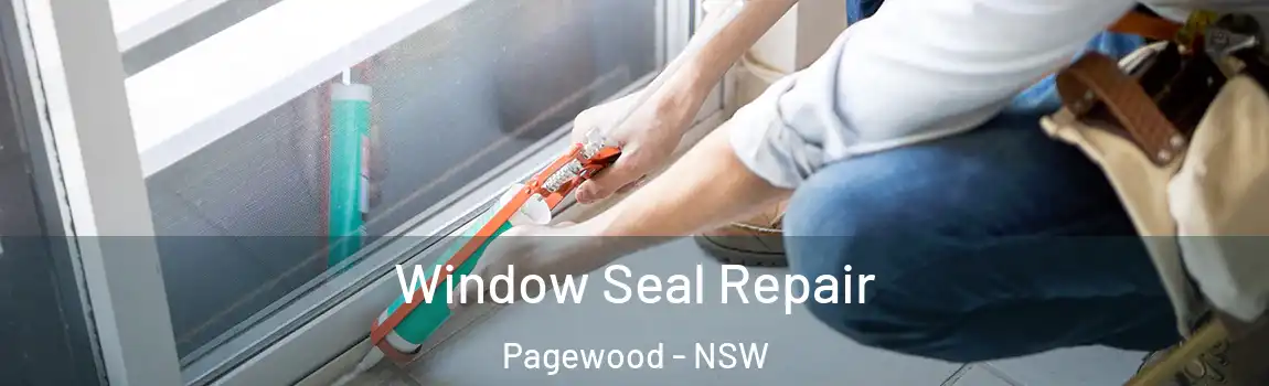  Window Seal Repair Pagewood - NSW