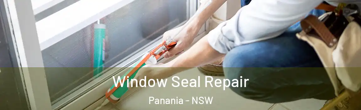  Window Seal Repair Panania - NSW