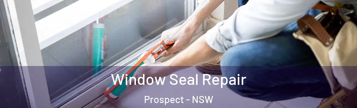  Window Seal Repair Prospect - NSW