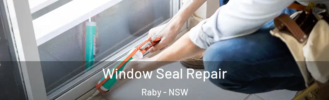  Window Seal Repair Raby - NSW