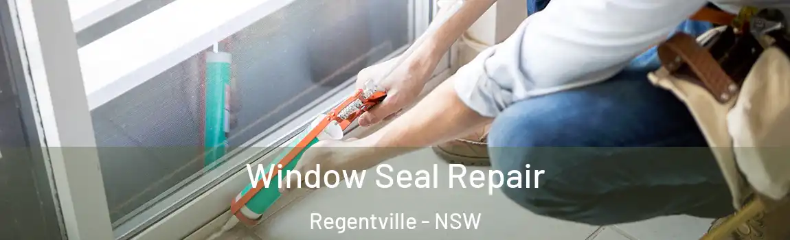  Window Seal Repair Regentville - NSW