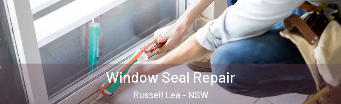  Window Seal Repair Russell Lea - NSW
