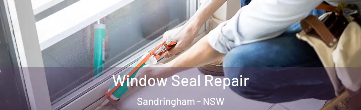  Window Seal Repair Sandringham - NSW