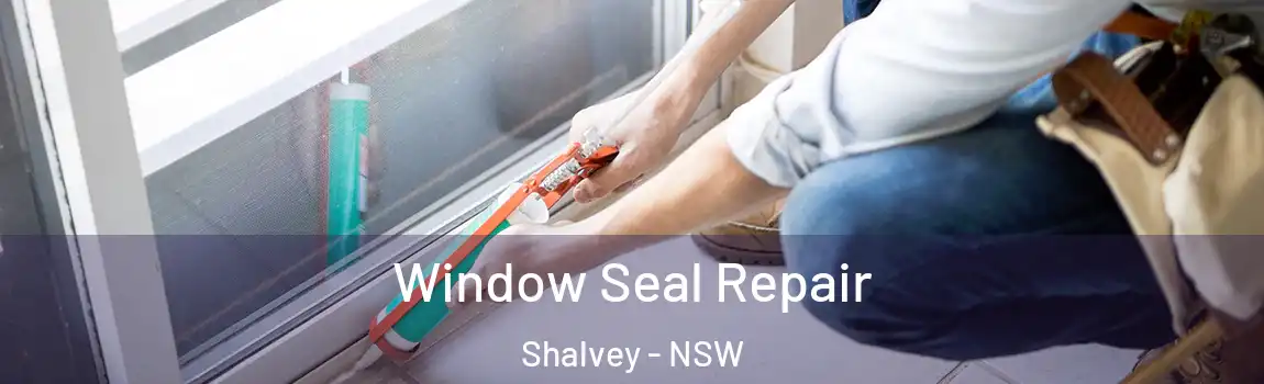  Window Seal Repair Shalvey - NSW